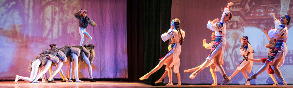 School of Russian Classical Ballet in Delhi